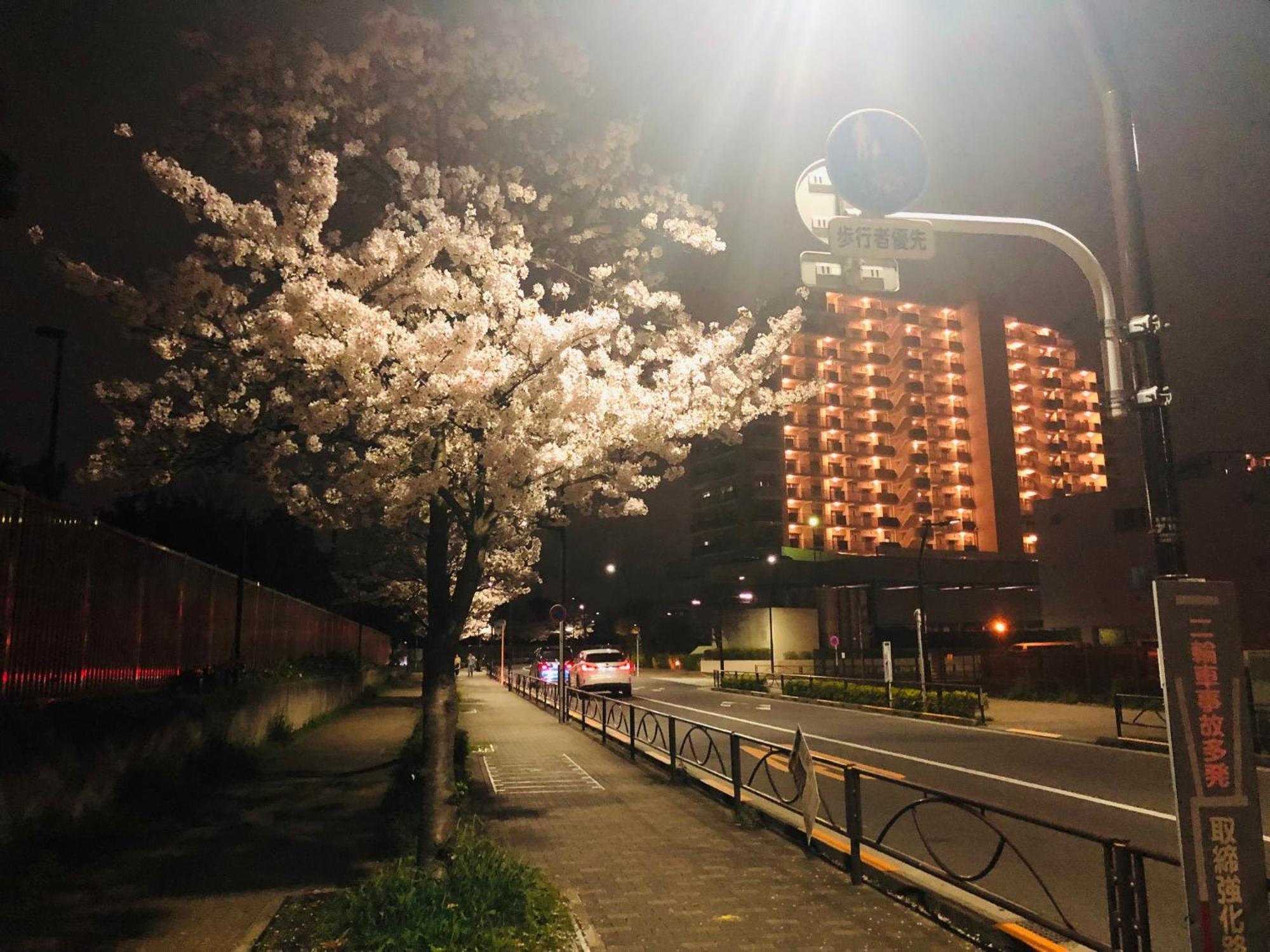 Jl 東京 House - 駐車場付き築浅のまるごと貸切住宅 * Präfektur Tokio