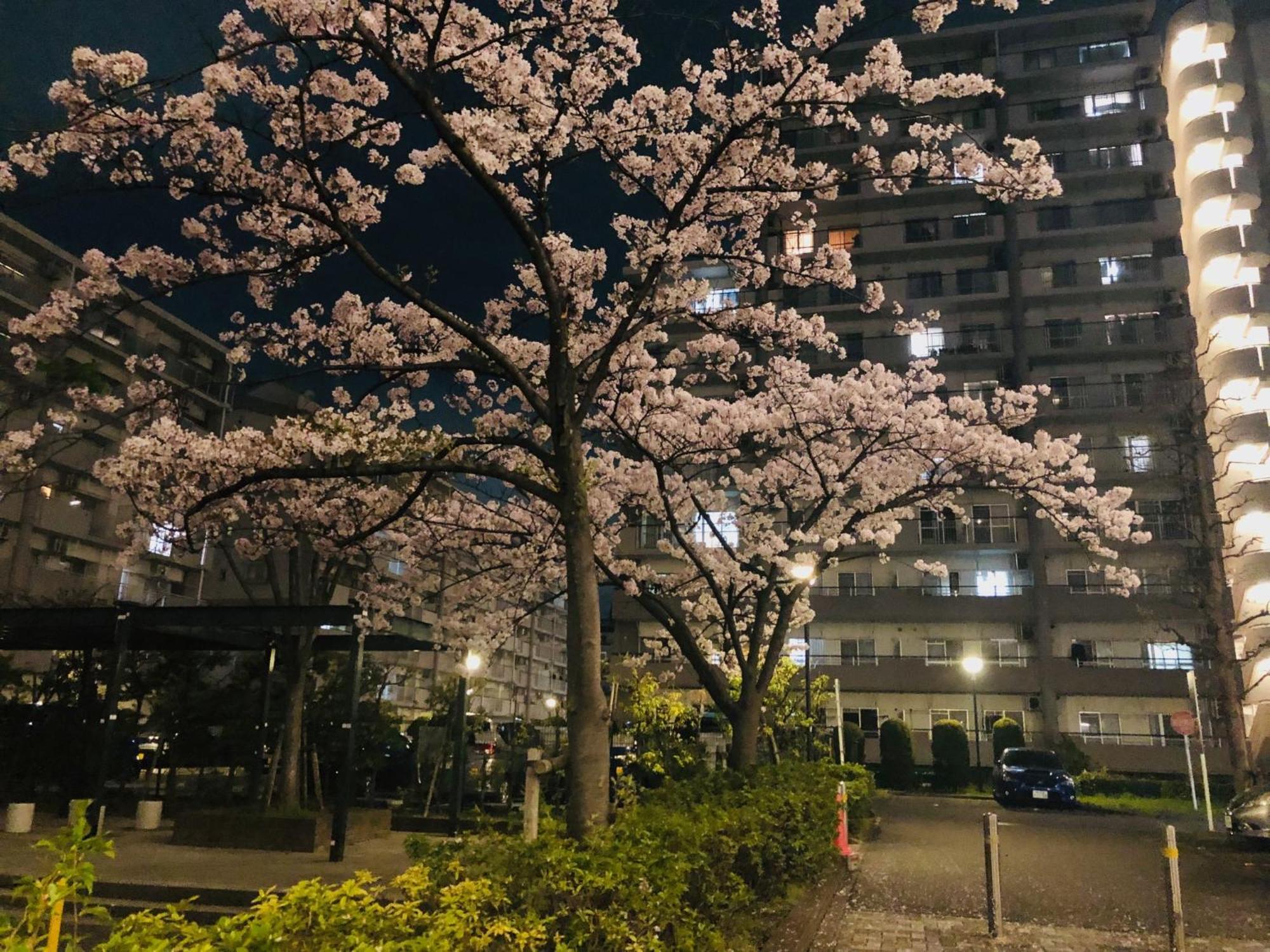Jl 東京 House - 駐車場付き築浅のまるごと貸切住宅 * Tokyo